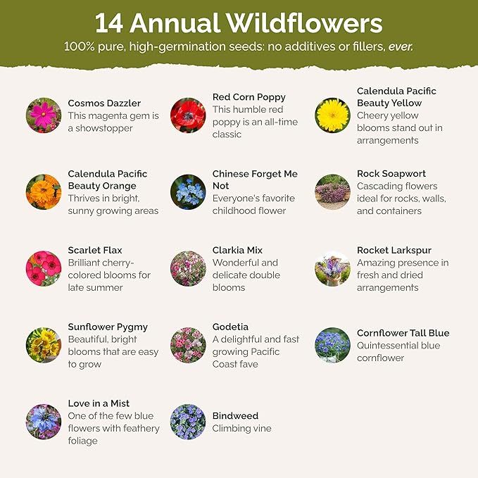 Eden Brothers Fairytale Flower Mixed Seeds for Planting, 5 lb, 2,400,000+ Seeds with Calendula, Cosmos Dazzler, Cornflower, Attracts Pollinators, Plant in Spring or Fall, Zones 3, 4, 5, 6, 7, 8, 9, 10