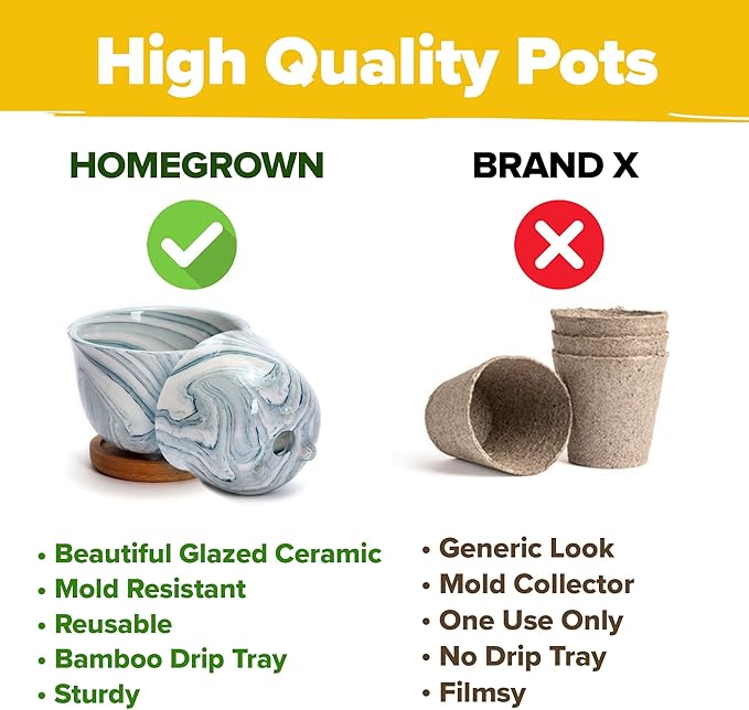 HOME GROWN Deluxe Succulent & Cactus Seed Grow Kit - Indoor Cactus & Succulent Kit w/Cactus Seeds, Potting Soil, Ceramic Succulent Pots, Water Drip Trays, Grow Guide for Plant Lovers