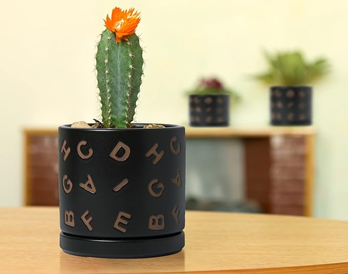 D'vine Dev Set of 2 Ceramic Planter Pots with Drainage Hole and Saucer, 4.5 Inch 6 Inch Plant Pots for Plants Indoor Houseplants, Black, 99-G-2