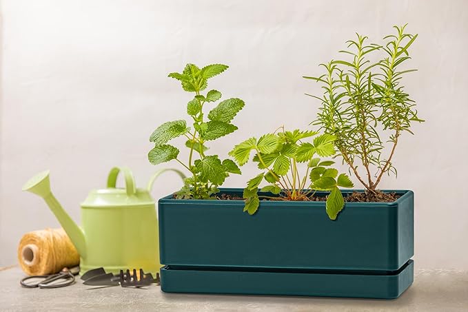 D'vine Dev 12 Inch Window Box Planter, Rectangle Plastic Herb Planter with Drainage Holes and Saucer, Indoor Succulent Cactus Vegetable Pot for Windowsill, Garden Balcony, Green, Set of 1, 76-X-C-1