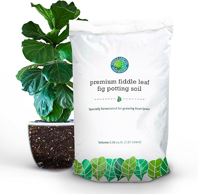 Fiddle Leaf Fig Potting Soil Mix by Fiddle Leaf Fig Plant Resource | Premium Organic Soil with Enhanced Drainage for Fast Growth and Healthy Roots (Large Bag)