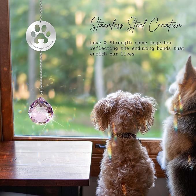 Dog Memorial Gifts, Unique Loss of Pet Sympathy Idea, Pink Crystal Ball Rainbow Suncatcher with Paw Print for Cat or Dog Remembrance and Bereavement
