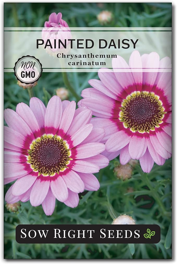 Sow Right Seeds - Collection of Pink Flower Seeds for Planting - Non-GMO Heirloom Packets with Instructions - Wonderful Rosy Blooms to Attract Pollinators - Cut and Come Again - Rare Varieties