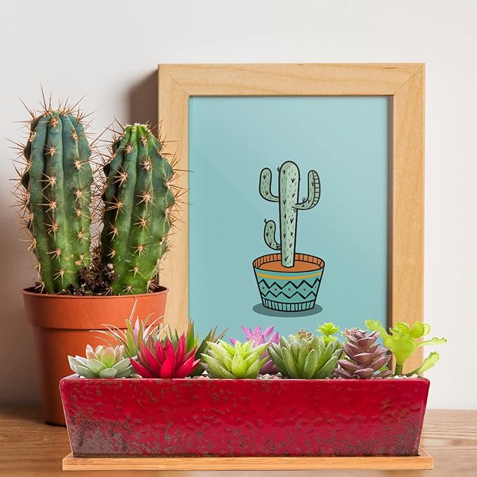 ARTKETTY Succulent Pots - 12.1 Inch Large Succulent Planters Pots with Drainage Tray, Long Rectangle Ceramic Pots for Indoor Cactus/Succulent Plants Shallow Bonsai Window Box for Home Garden Decor