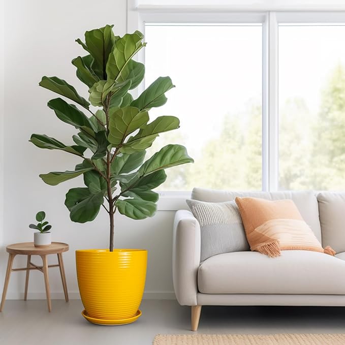 12 Inch Pots for Plants - Ceramic Planter for Indoor Plants Large Plant Pot with Drainage Hole and Saucer Round Outdoor Flower Pot for Garden Home Patio Office Yellow