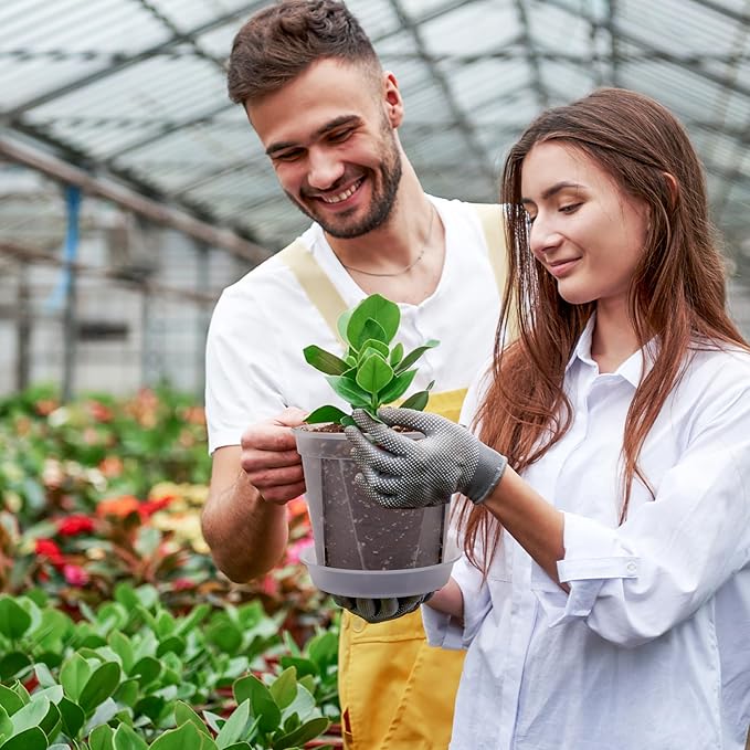 CEWOR 12pcs 4/5/6 Inch Clear Nursery Pots with Saucer, Transparent Plastic Plant Pots with Drainage Hole for House Plants, Flower, Succulent and Outdoor Clearance