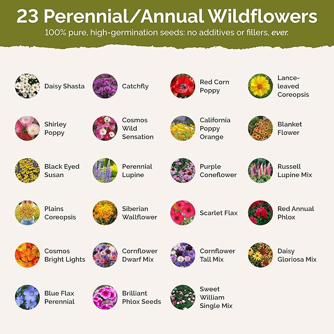 Eden Brothers Delaware Wildflower Mixed Seeds for Planting, 1 oz, 30,000+ Seeds with Sweet William, Candytuft | Attracts Pollinators, Plant in Spring or Fall, Zones