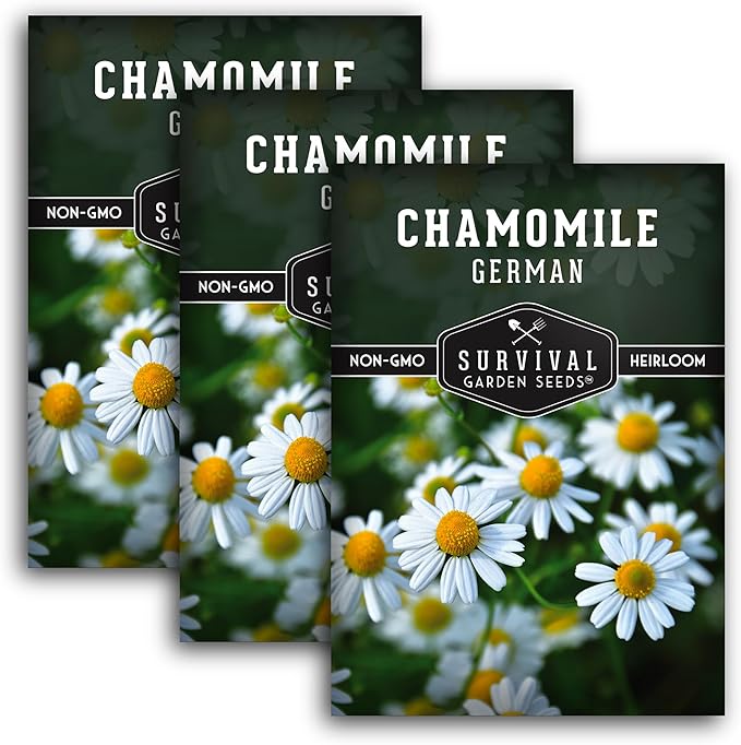 German Chamomile Seeds for Planting - 3 Packets with Instructions to Plant and Grow Matricaria chamomilla in Your Home Herb Garden - Non-GMO Heirloom Variety - Survival Garden Seeds