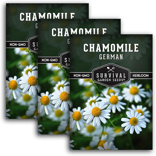 German Chamomile Seeds for Planting - 3 Packets with Instructions to Plant and Grow Matricaria chamomilla in Your Home Herb Garden - Non-GMO Heirloom Variety - Survival Garden Seeds