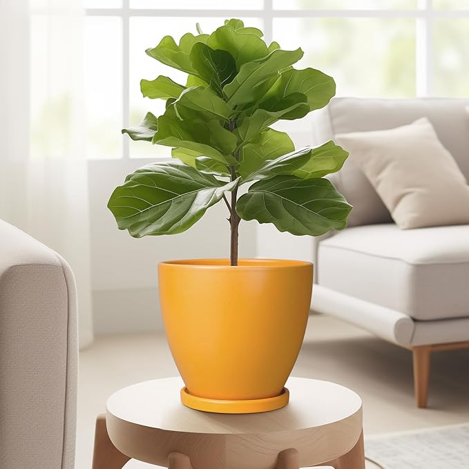 6 Inch Plant Pot - Ceramic Planter with Drainage Hole and Saucer, Modern Round Flower Pot, Planters for Indoor Plants, Home Garden Decor, Orange