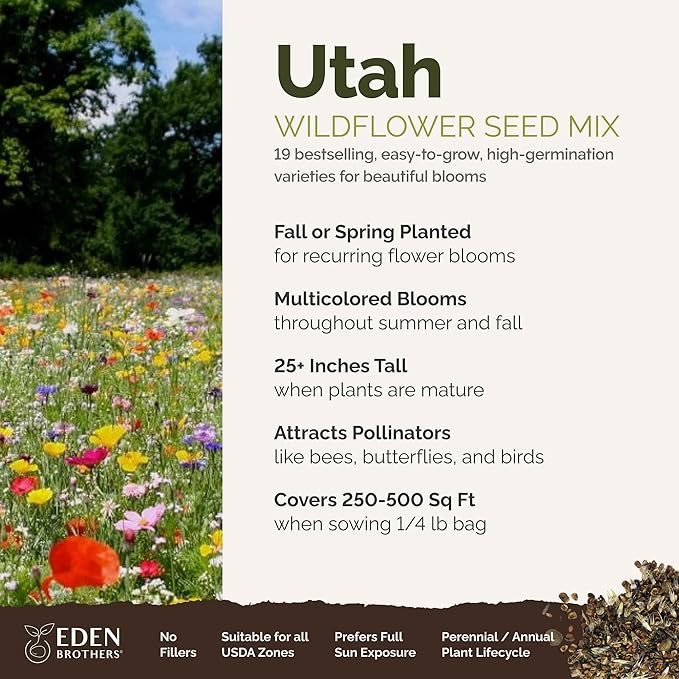 Eden Brothers Utah Wildflower Mixed Seeds for Planting, 1/4 lb, 120,000+ Seeds with Snapdragon, Yarrow | Attracts Pollinators, Plant in Spring or Fall, Zones
