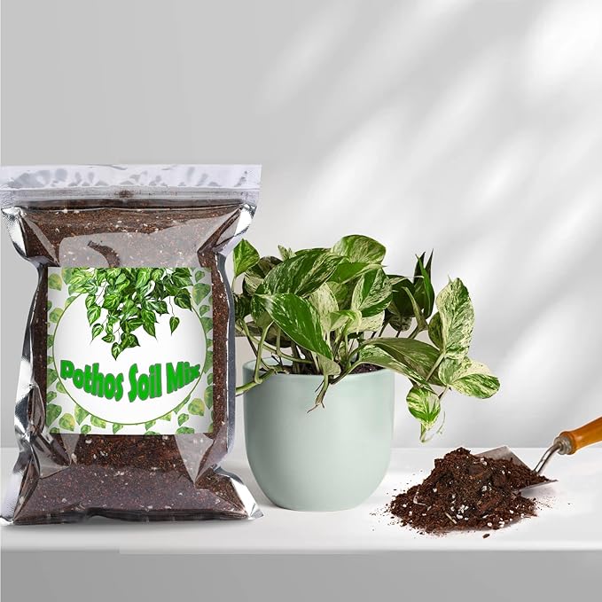 Organic Pothos Soil Mix 4qt, Indoor Plants Potting Mix for All Potted Pothos, Grow Healthy houseplants Indoors