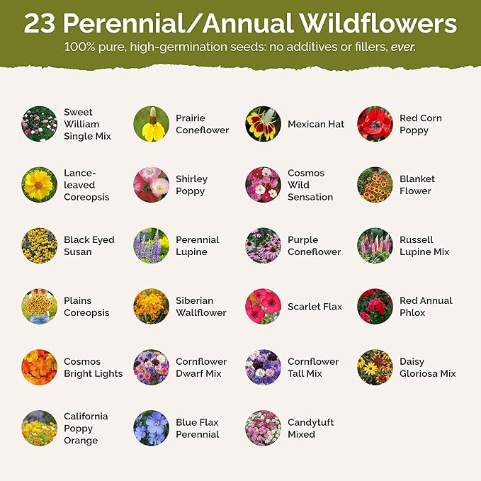 Eden Brothers Nebraska Wildflower Mixed Seeds for Planting, 1 lb, 480,000+ Seeds with Candytuft, Blanket Flower | Attracts Pollinators, Plant in Spring or Fall, Zones