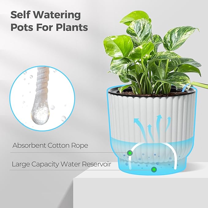 T4U 6 Inch Self Watering Pots for Indoor Plants, 6 Pack White Plastic Flower Pots for All House Plants, Flowers, African Violets
