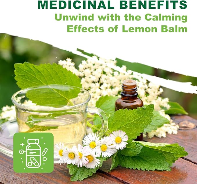 TKE Farms & Gardens - Lemon Balm Seeds for Planting, 250Mg, 300+ Heirloom, Non-GMO Seeds, Instructions Included to Grow This Fragrant Medicinal Herb, Melissa officinalis, Qty 1