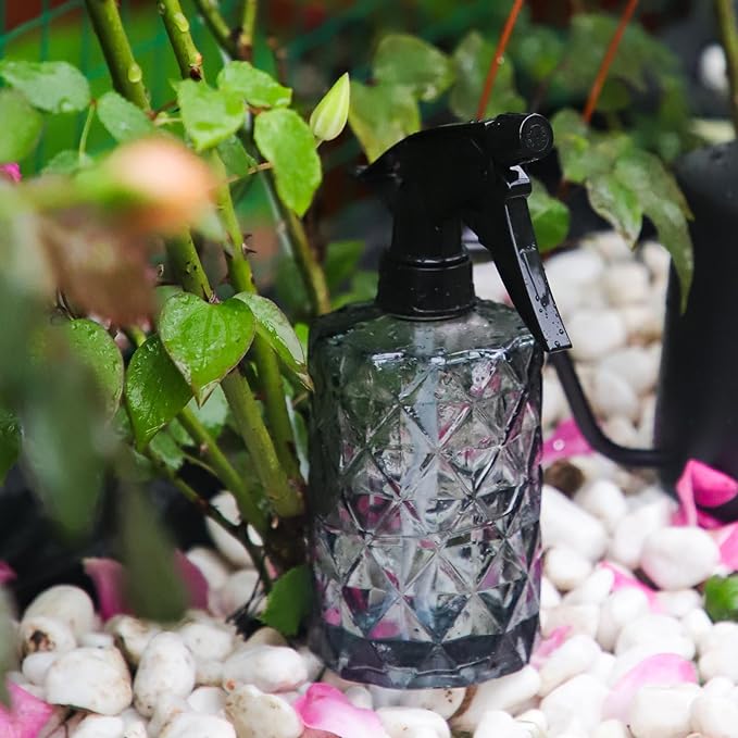 OFFIDIX Watering Can for Indoor Plants,Long Spout Metal Stainless Steel 21 oz/600 ml Watering Can with 14 oz/400ml Glass Plant Mister Spray Bottle for Plant Bonsai