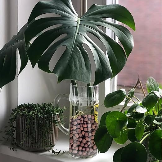 Calofulston 7LB Expanded Clay Pebbles for Plants, Leca Clay Balls for Indoor Plants, Drainage, Orchid Potting Mix, Soil Amendment, Easy Reusability, 4-16mm