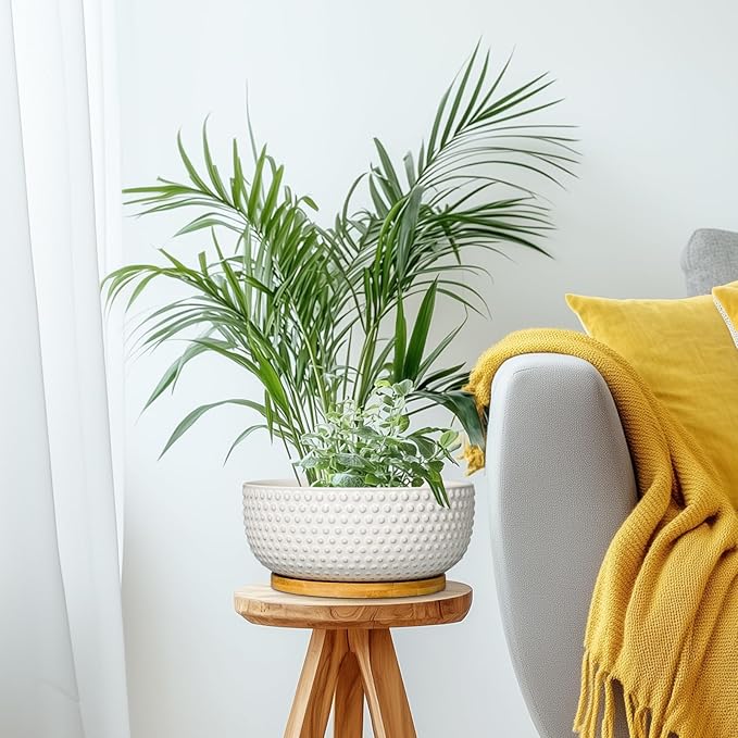 Succulent Pots 8 Inch - Ceramic Bonsai Planters for Indoor Plants, Plant Pot with Drainage Hole and Saucer, Shallow Round Flower Planter, Modern Room Decor, Gifts for Plant Lover, White