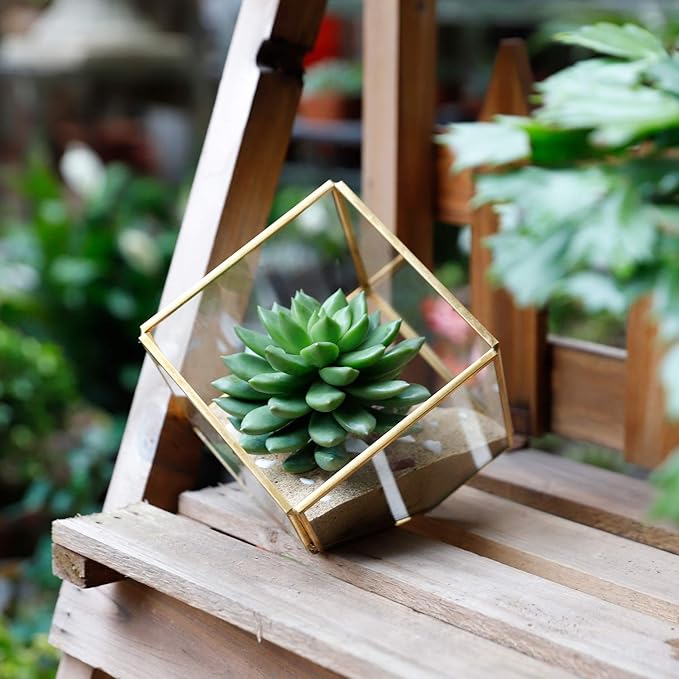 Glass Geometric Plant Terrarium,Succulent & Air Planter for Home Garden Office Decoration(Gold Cubic Set of 2)