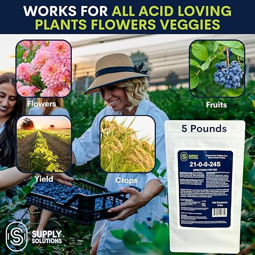 21-0-0-24S Ammonium Sulfate for Deep Green Plants - Soil Acidifier for Blueberry Blooms, Azalea and Magnolia Tree Fertilizer - Sulfur for Plants Nitrogen Fertilizer (5 Pounds)