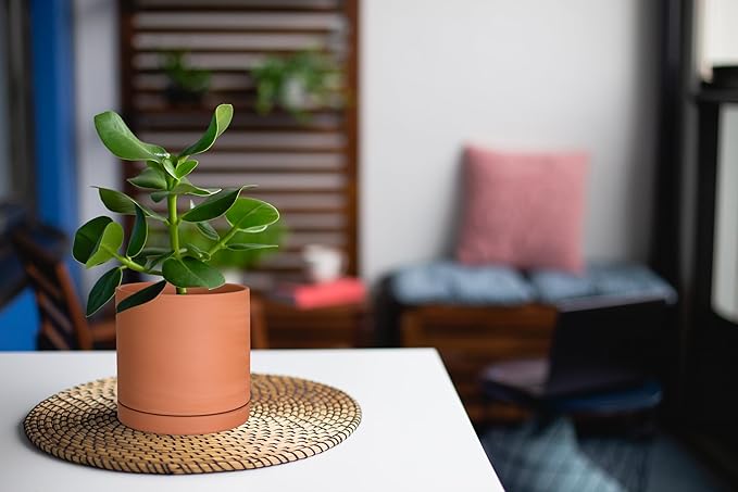 D'vine Dev Small Plus 5 Inch Terracotta Plant Pot with Drainage Hole and Saucer, Round Cylinder Planter Pot for Indoor Plants, 40-X-A-2