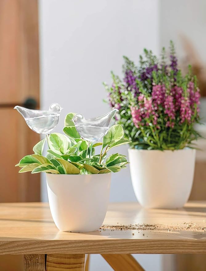Mkono Plant Self Watering Globes Glass Water Bulbs for Planter Insert, Bird Shape Self Watering Devices Automatic Plant Waterer Spikes for Indoor Outdoor Plants, Gifts for Plant Lovers, 2 Pack