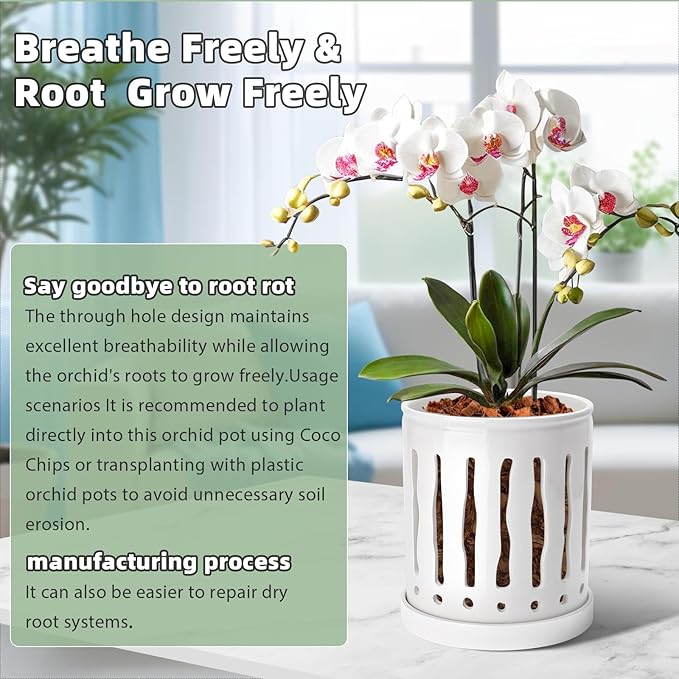 6 Inch Ceramic Orchid Pot with Large Slotted Holes, Orchid Planter for Enhanced Air Circulation, Orchid Pots with Drainage Tray, White