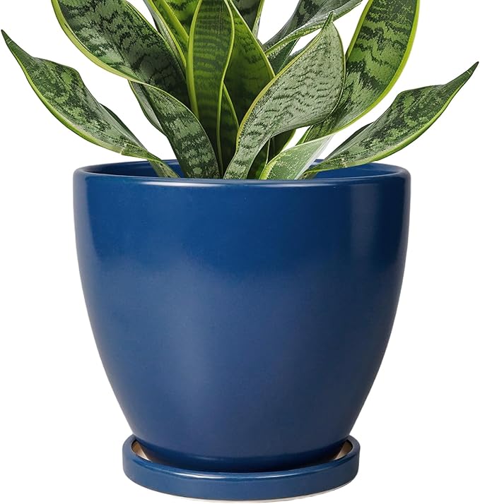 6 Inch Plant Pot - Ceramic Planter with Drainage Hole and Saucer, Modern Round Flower Pot, Planters for Indoor Plants, Home Garden Decor, Blue
