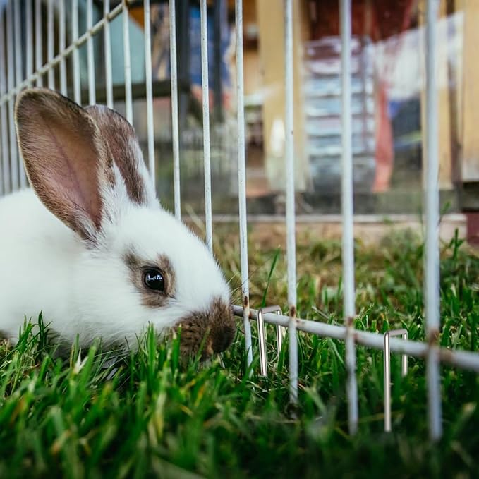 AAGUT 12 Inch 8 Gauge Landscape Staples 40 Pack Galvanized Garden Stakes Heavy Duty Sod Pins Fence Ground Stakes for Weed Barrier Fabric Ground Cover Dripper Irrigation Tubing Soaker