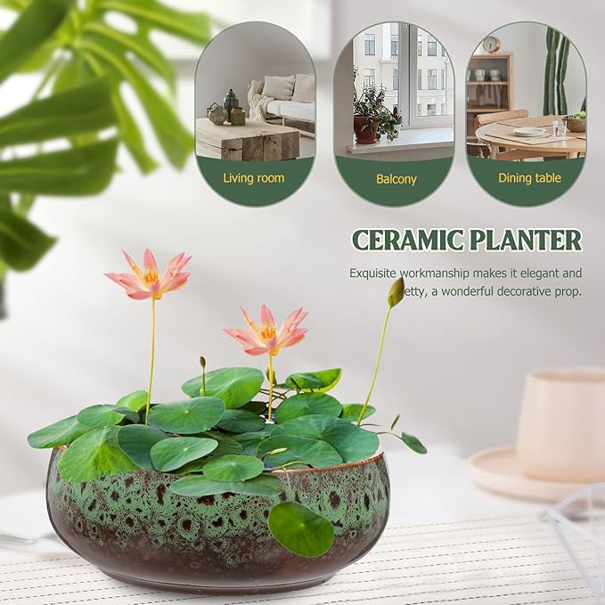 Happyyami Hydroponic Water Planter Pot Ceramic Succulent Bonsai Pot Water Lily Narcissus Planting Bowl Flowerpot Container Garden Decoration (Style b)