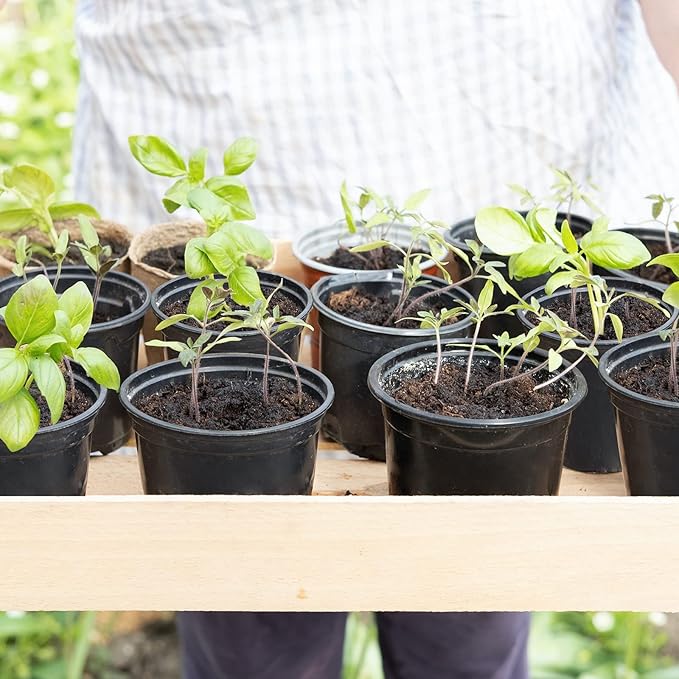Whonline 40pcs Plastic Nursery Pots Variety Pack, 3/4/5/6 Inch Black Round Seedling Pots with Drainage Holes, Plastic Starter Pots for Planting Seeds, Flower, Succulent, Indoor Plants