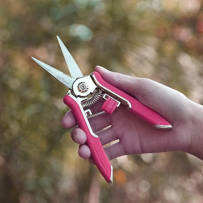FLORA GUARD 6.5 Inch Micro-Tip Pruning snip Gardening Hand Pruning Shears Trimming Scissors with Stainless Steel(Red)