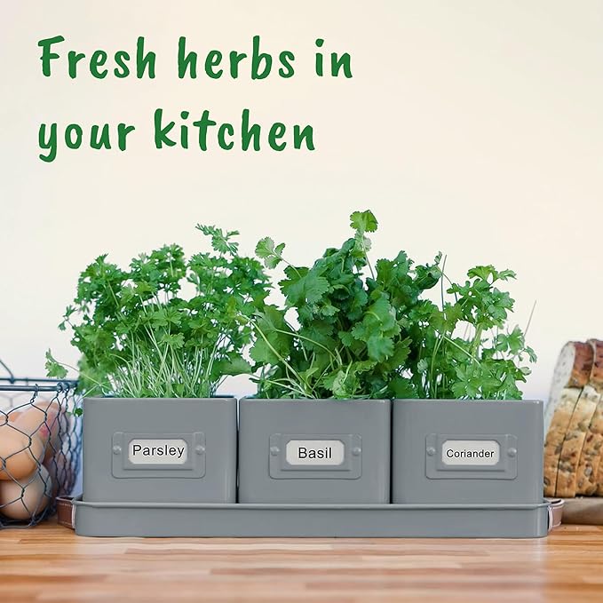 Herb Planter Indoor - Set of 3 Grey Indoor Herb Garden Pots for Plants with Leather Handled Tray - Window Sill Plant Shelf - Herb Pots with Drainage Holes and Labels