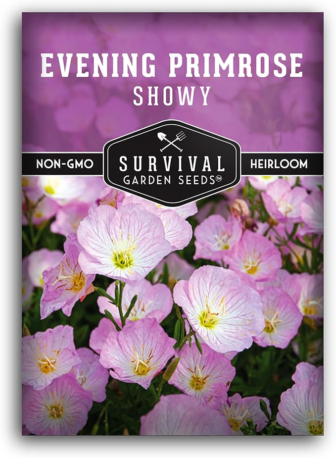 Showy Evening Primrose Seed for Planting - 1 Packet with Instructions to Plant and Grow Pinkladies in Your Home Flower Garden - Non-GMO Heirloom Variety - Survival Garden Seeds - Mexican Primrose
