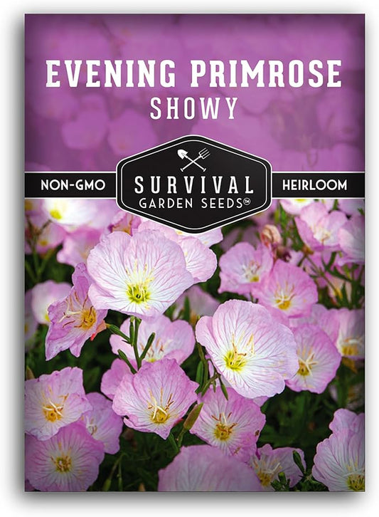 Showy Evening Primrose Seed for Planting - 1 Packet with Instructions to Plant and Grow Pinkladies in Your Home Flower Garden - Non-GMO Heirloom Variety - Survival Garden Seeds - Mexican Primrose