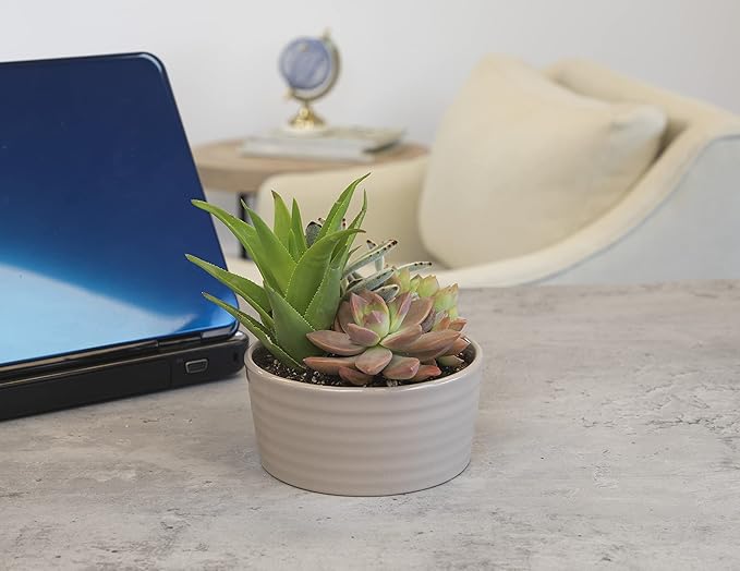 Succulents Plants Live in Garden Succulent Planters, Live Succulent Plants Live Plants in Taupe Planter Pot, Live Succulents Unique Gardening Gifts for Plant Lovers, Succulent Gifts by Plants for Pets