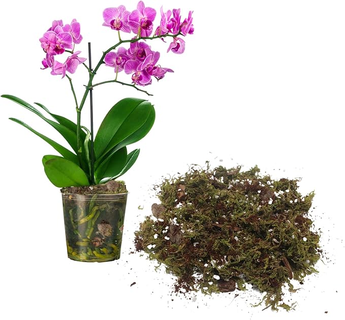 2QT Orchid Potting Mix with Moss Pine Bark Mulch Perlite & Coco Peat Natural Ingredients, Orchid Repotting Soil Medium Great for Indoor Plant Root Climbing & Expanding