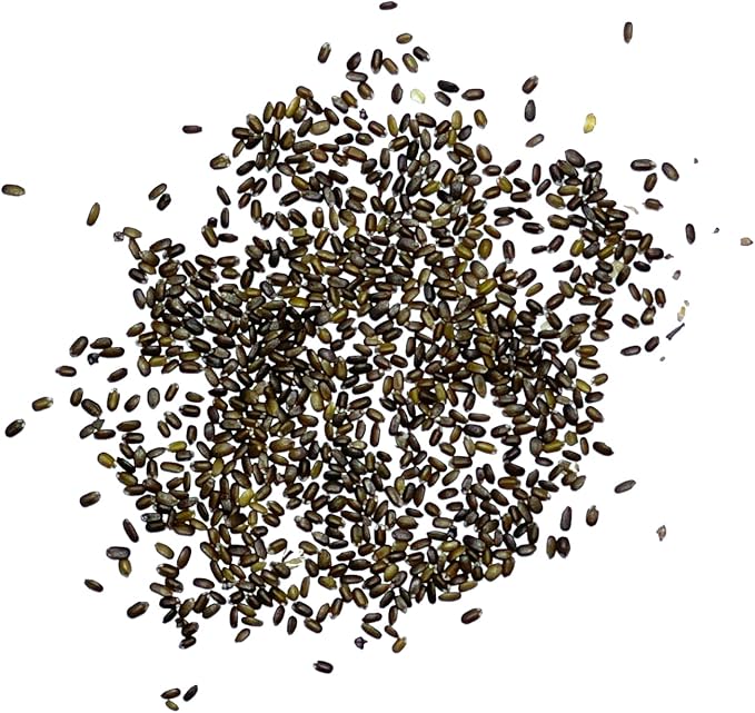 Seed Needs, Wild Bergamot Bee Balm Seeds - 400 Heirloom Seeds for Planting Monarda fistulosa - Attracts Honeybees, Bumblebees, Butterflies & Other Pollinators (1 Pack)