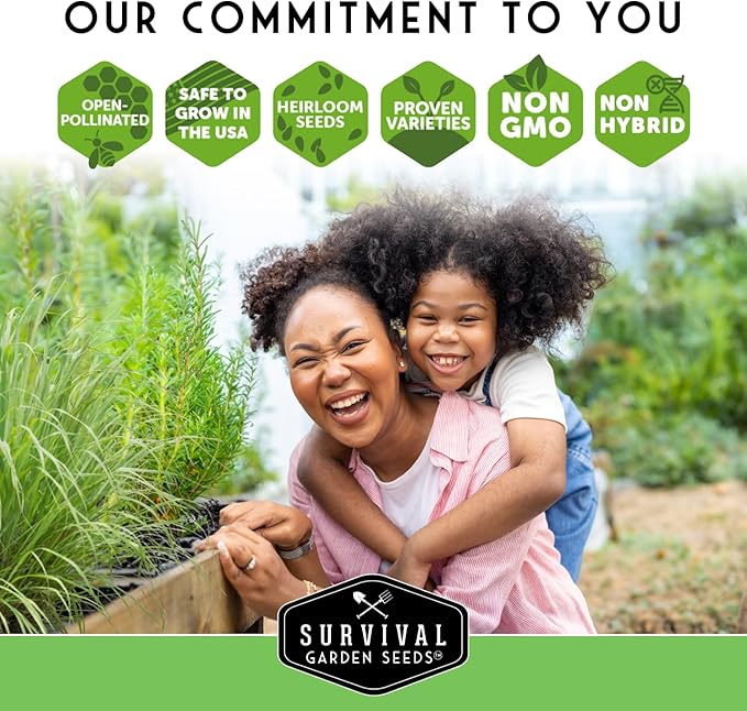 Survival Garden Seeds - Oat Seed for Planting - 5 Packs with Instructions to Plant & Grow Avena Sativa in Your Home Vegetable or Herb Garden - Medicinal Herb & Cover Crop - Non-GMO Heirloom Variety