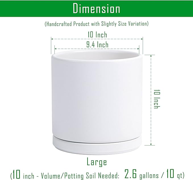 D'vine Dev 10 Inch Ceramic Planter Pot with Drainage Hole and Saucer, Indoor Cylinder Round Planter Pot, White, 94-O-E-1