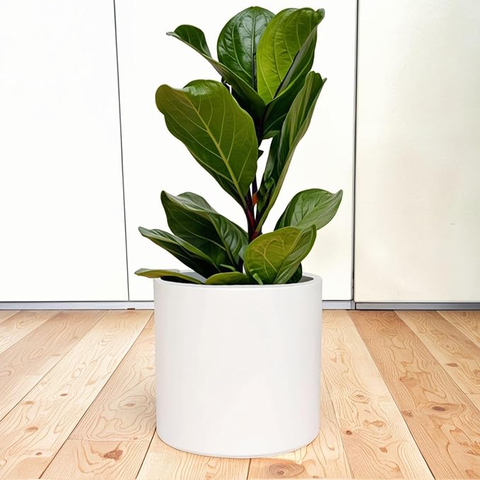 Fox & Fern Large 12 Inch Planter — Premium Lightweight Fiberstone Matte White Plant Pot w Drainage Plug; Large Indoor & Outdoor Floor Planter; 12 Inch Pots for Plants; Weather Resistant & UV Resistant