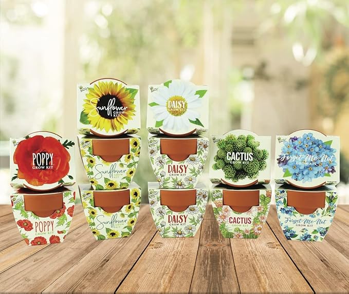 Buzzy Seeds Terracotta Mini Grow Pots | Herb, Plant, Flower Starter Kit for Kids & Adults | Assorted 12-Pack, Daydream Collection | Guaranteed to Grow | Best Indoor-Outdoor Gardening Gift