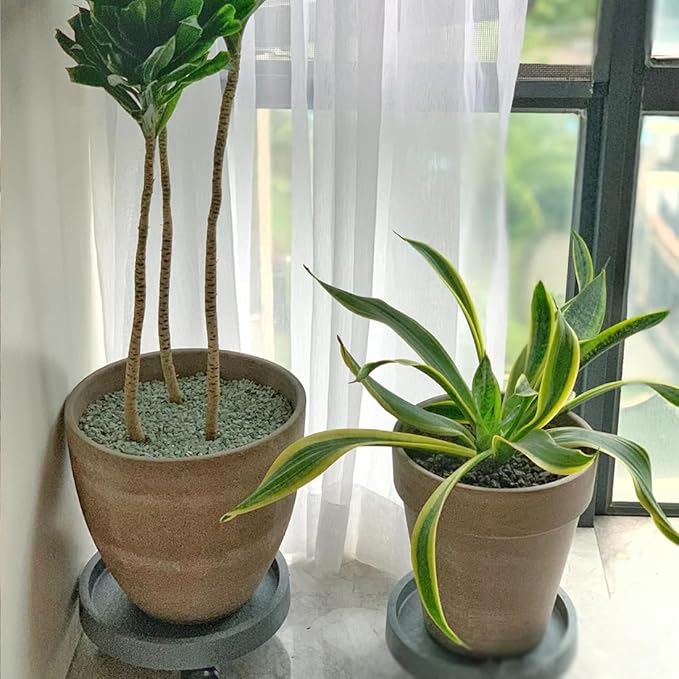 Succulents and Cactus Green Zeolite Rocks, Decorative Stones Pebbles for Indoor Plants, Bonsai, Fairy Gardening, Terrarium, 5lb