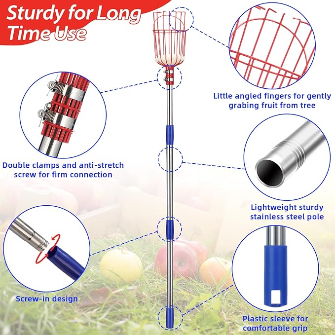 Fruit Picker Pole with Basket - Apple Picker Long Handle Telescoping, 5.5 FT Stainless Steel Fruit Picking Pole Extendable Fruit Catcher Tool for Avocado, Apricot, Pear, Orange, Mango Trees Picking