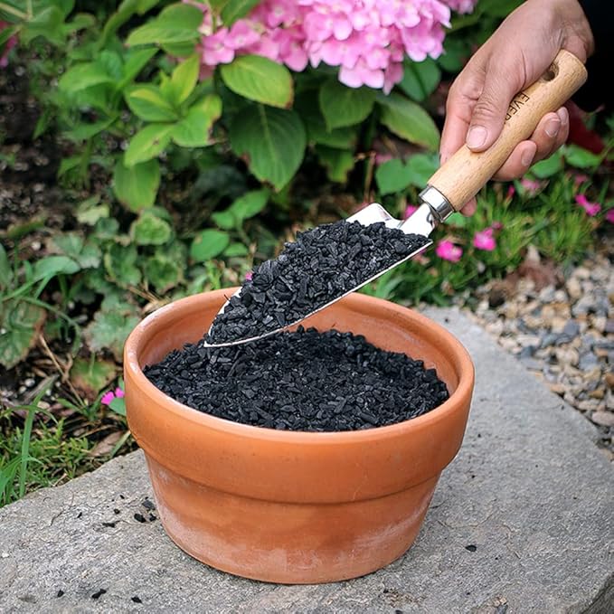 Horticultural Charcoal for Plants 1 qt, All Natural Hardwood Charcoal, Activated Charcoal for Soil Amendment, Orchids, Terrariums, and Gardening