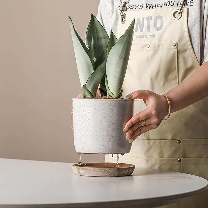 6 Inch Plant Pot: Ceramic Planter with Drainage Hole & Saucer - Cylinder Round Flowerpot for Indoor & Outdoor Plants - with Separate Tray for Home & Office - Retro Style, Grey