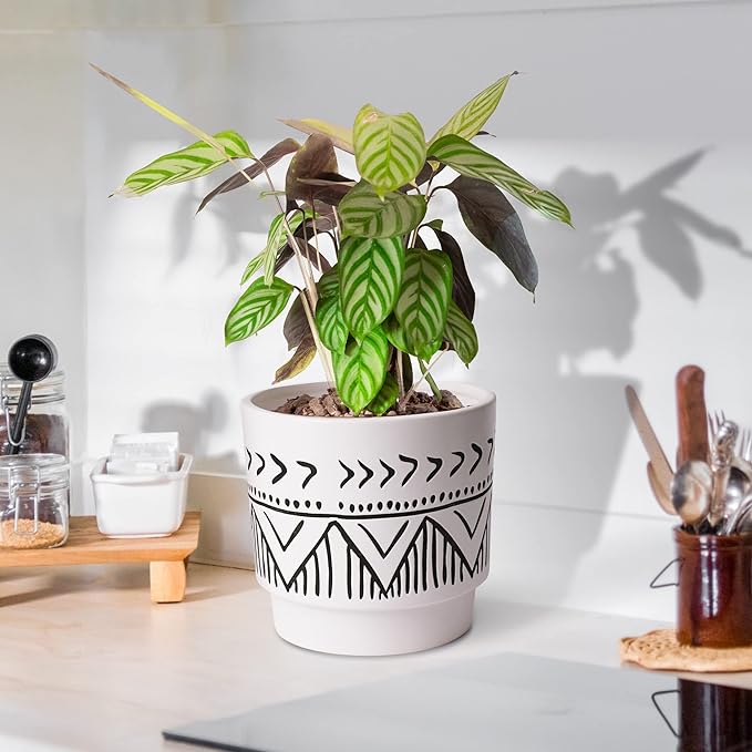 Boho 6 Inch Ceramic Plant pots, Geometric Ceramic Embossed Flower Pots Indoor with Drainage Holes, 2 Set Minimalistic Planters for Indoor and Outdoor Plants(Beige&Black)