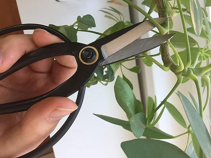 GARDEN GURU Bonsai Scissors - Traditional Butterfly Bonsai Pruner Shear for Precise Trimming Pruning and Deadheading of Flowers Plants, Japanese Bonsai Garden Tools (180mm 2 Pack)