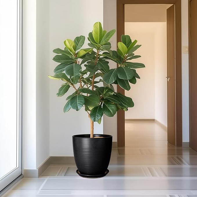 12 Inch Pots for Plants - Ceramic Planter Pot, Large Flower Pot with Drainage Hole and Saucer for Home Patio Garden Office Indoor Outdoor, Black