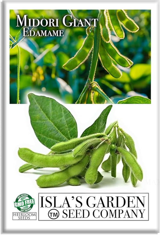 Midori Giant Edamame Seeds for Planting, 25+ Heirloom Seeds Per Packet, (Isla's Garden Seeds), Non GMO Seeds, Botanical Name: Glycine max, Great Home Garden Gift